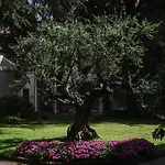 Hotel Centro Paolo Vi