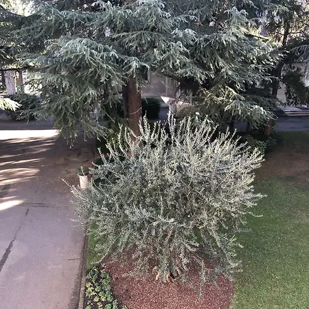 酒店 保罗中心vi酒店 布雷西亚